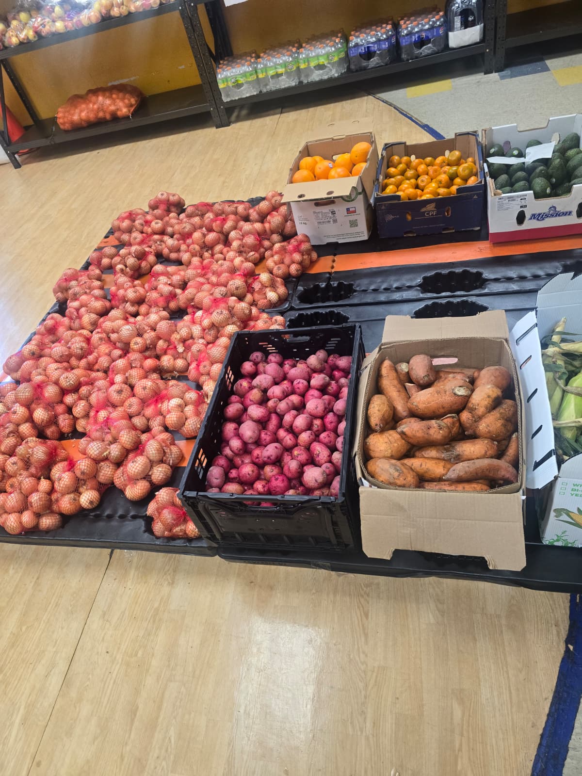 Bags of onions, red potatoes, and sweet potatoes laid out for distribution at the food pantry